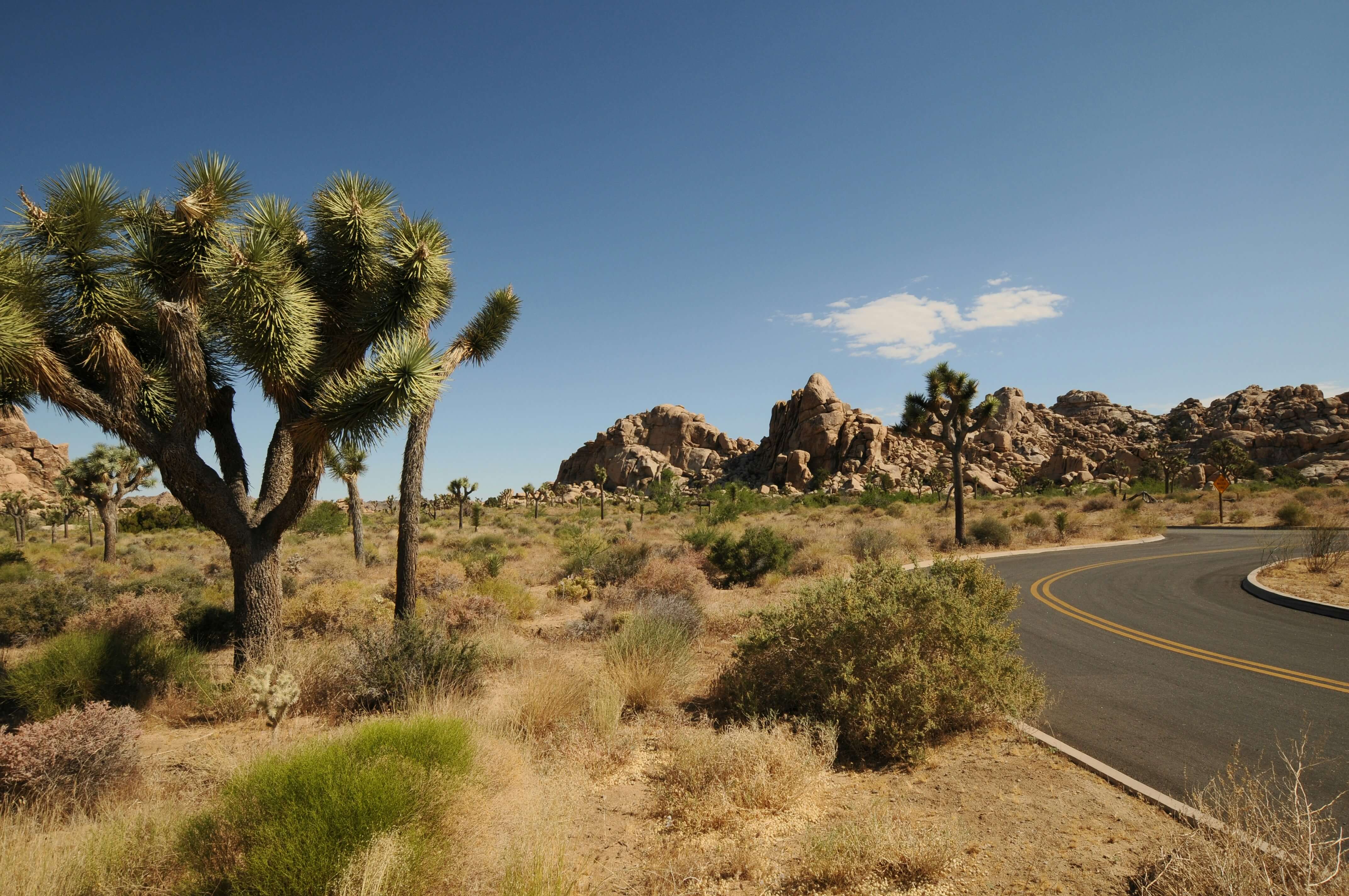 Desert road weaves through boulders and desert wilderness.